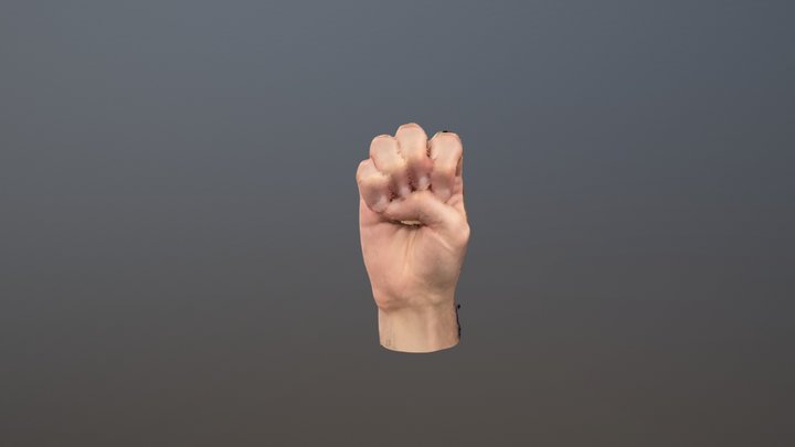 3d sign language