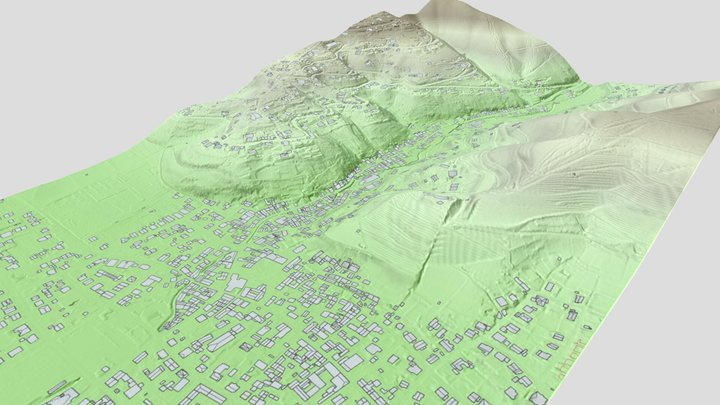 Relief Schriesheim mit Strahlenburg 3D Model