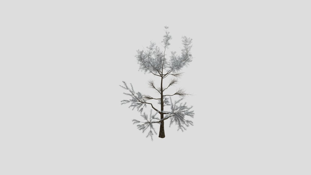 Sj Green Dream Pine Tree