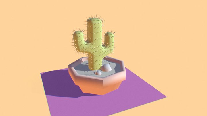 cactus cactus 3D Model