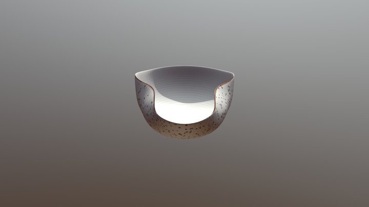 Chahe Basic 3D Model