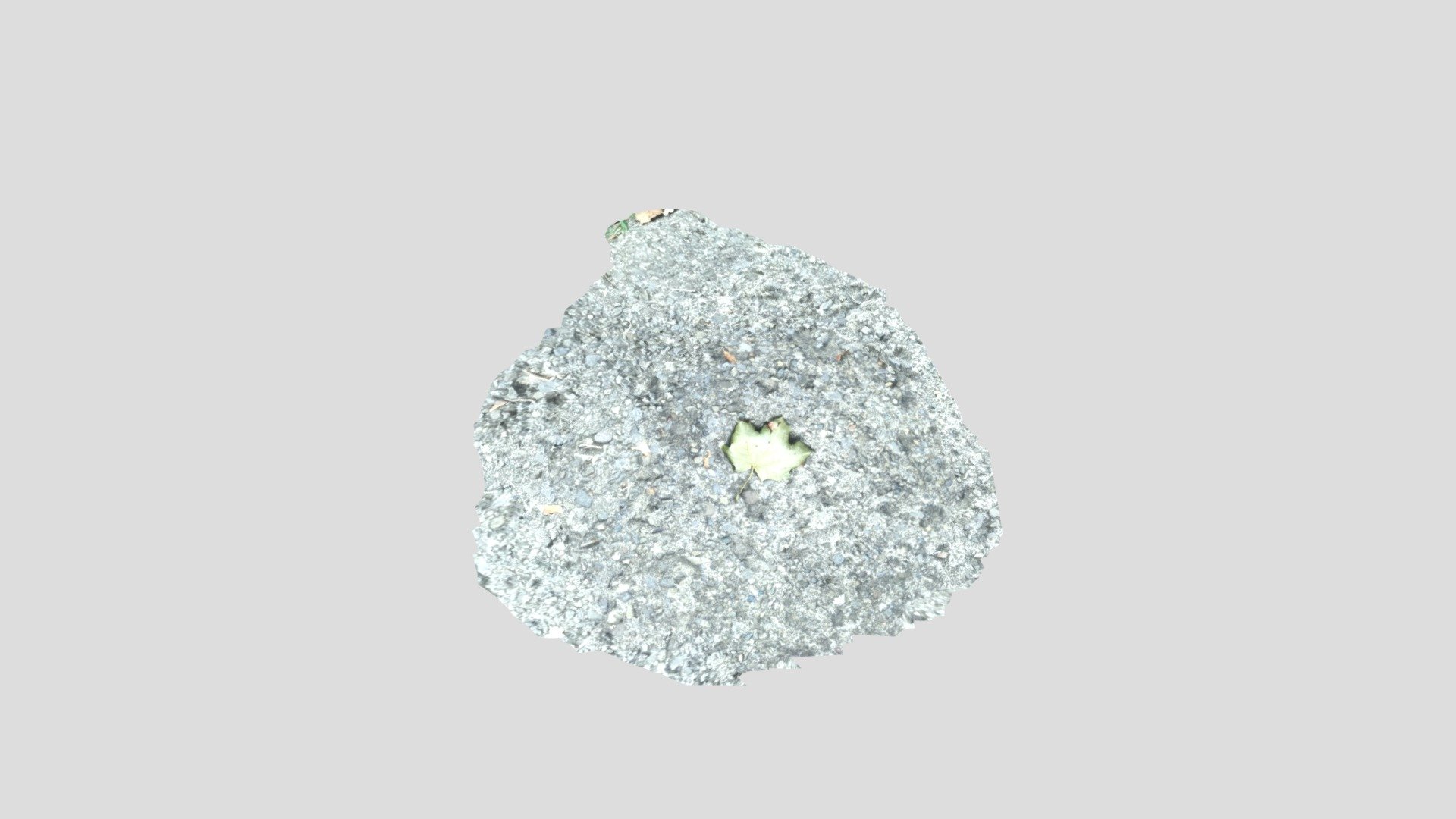 Adam_Preston_Leaf_3DModel