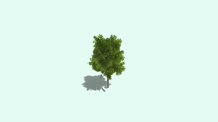 树木模型01 3D Model