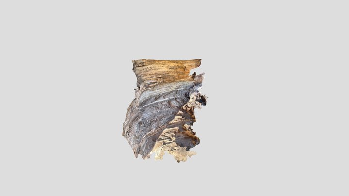 Wind eroded cave 3D Model