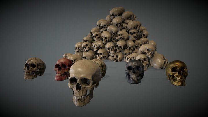 Human Realistic Skull Lowpoly Set 3D Model