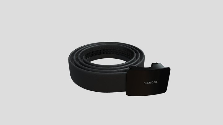 皮带 3D Model