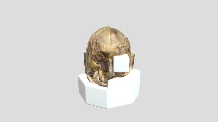Multilayer5 3D Model