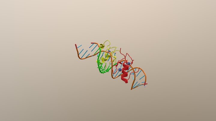 Two zinc fingers of GATA bonding protein 1 3D Model