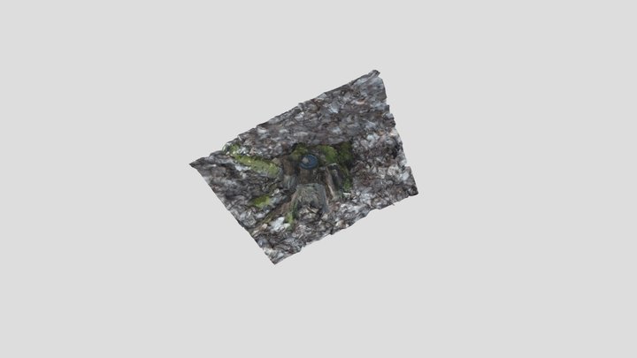 strom 3D Model