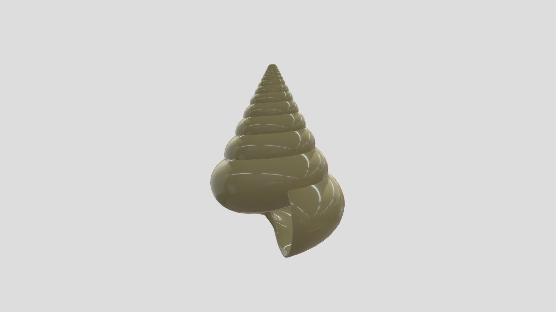 Sea Shell - Download Free 3D model by Akinremi [3ffeb71] - Sketchfab