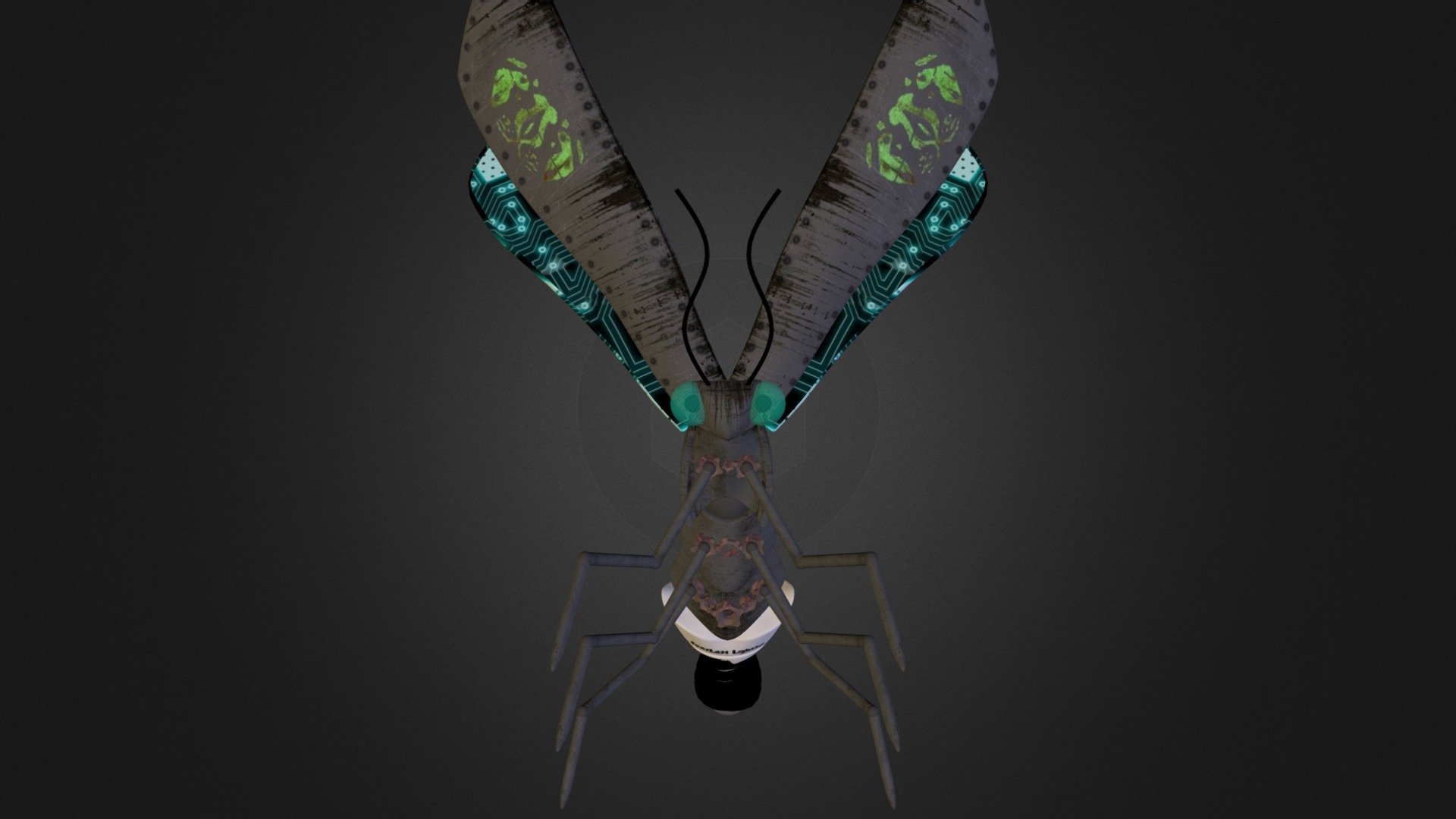 smallBug.zip - 3D model by outlawtornlost [3ysQbGJ] - Sketchfab