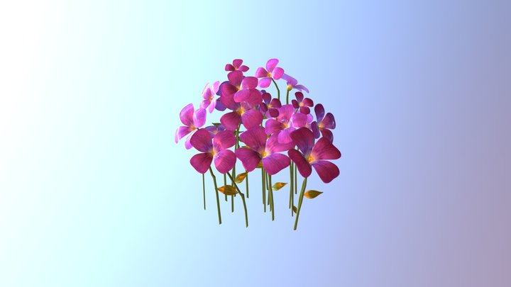 Purple Flower Patch 3D Model
