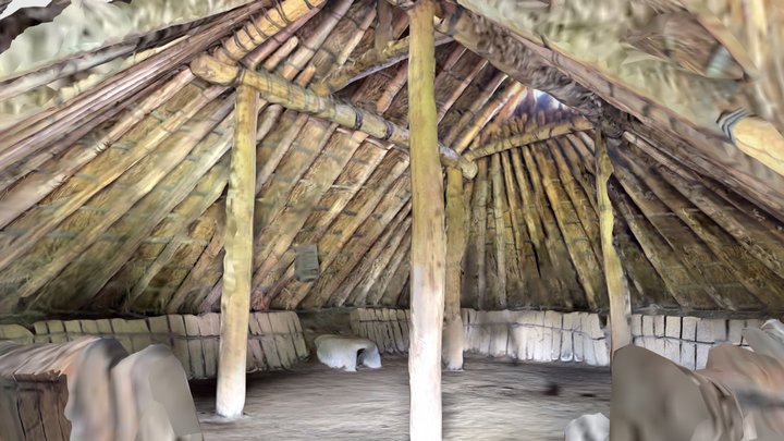 Primitive  Japanese architecture 3D Model