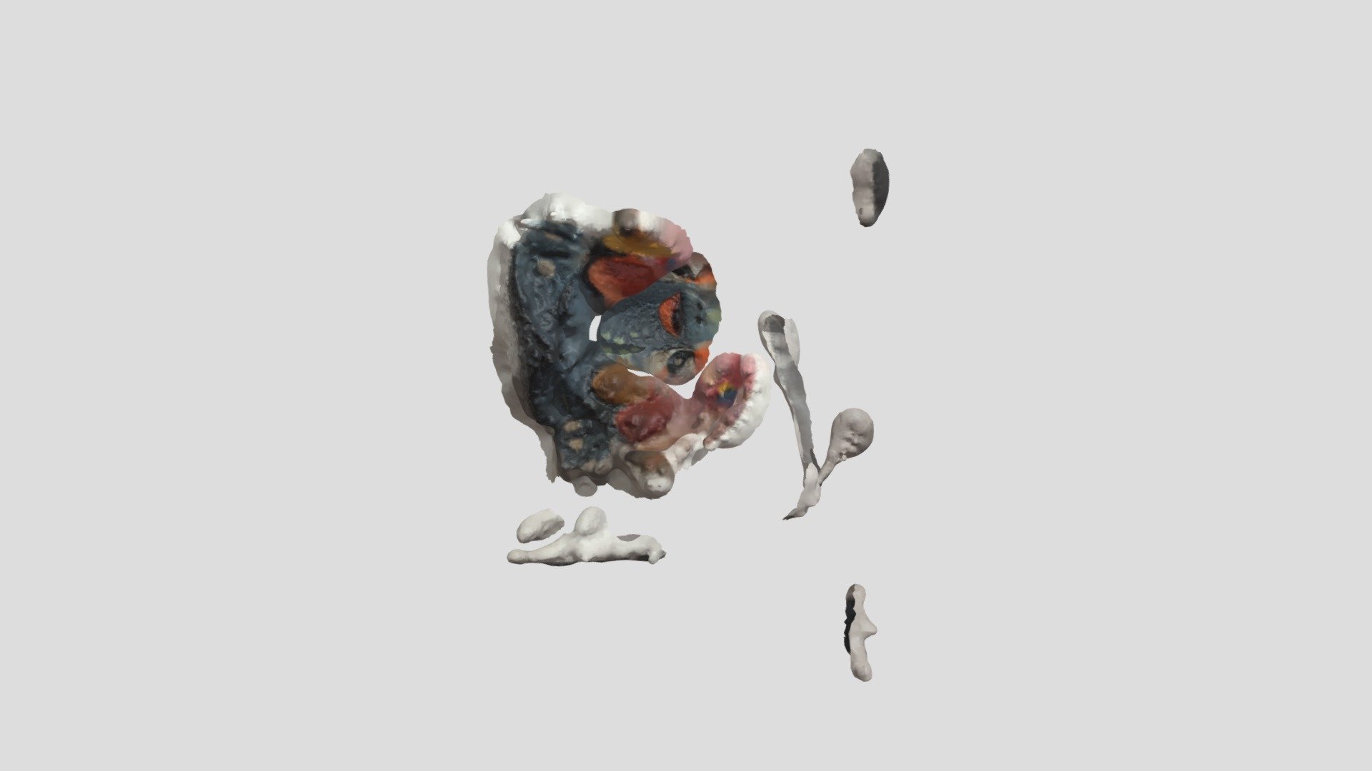 Turtle Attempt