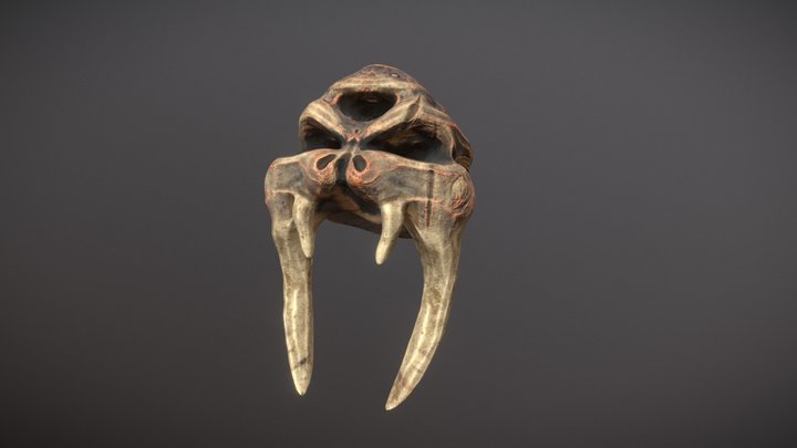 Skull 3D Model