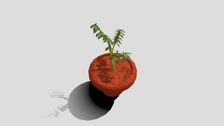Plant 3D Model
