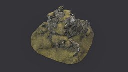 Icelandic Mossy Rock