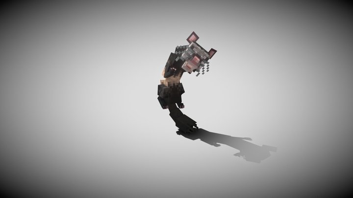 Ferret 3D Model
