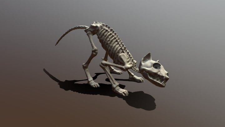 Cat Edit 3D Model