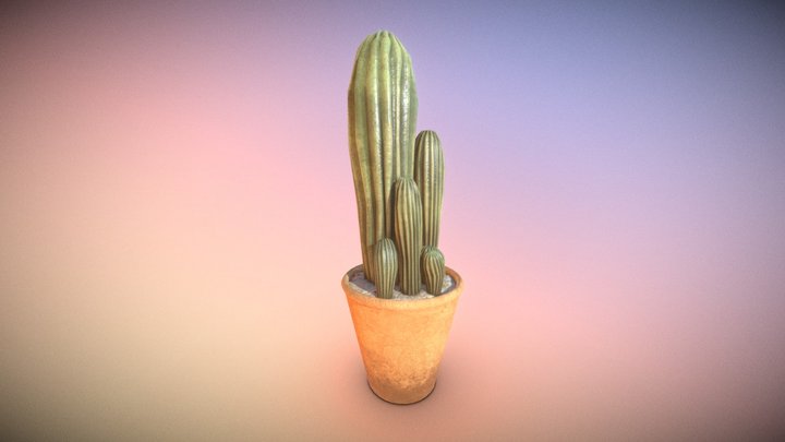 Low Poly Plant Challenge - Entry 1 3D Model
