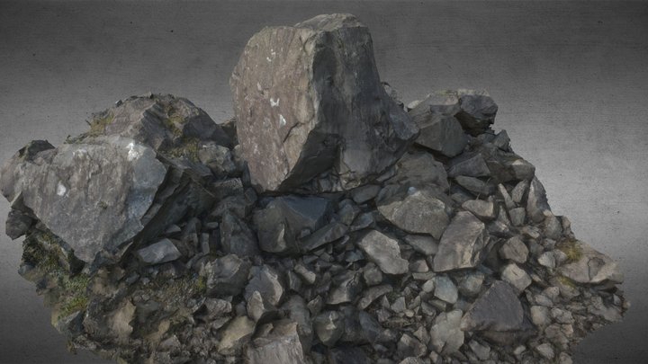Huge boulder surrounded by smaller stones 3D Model
