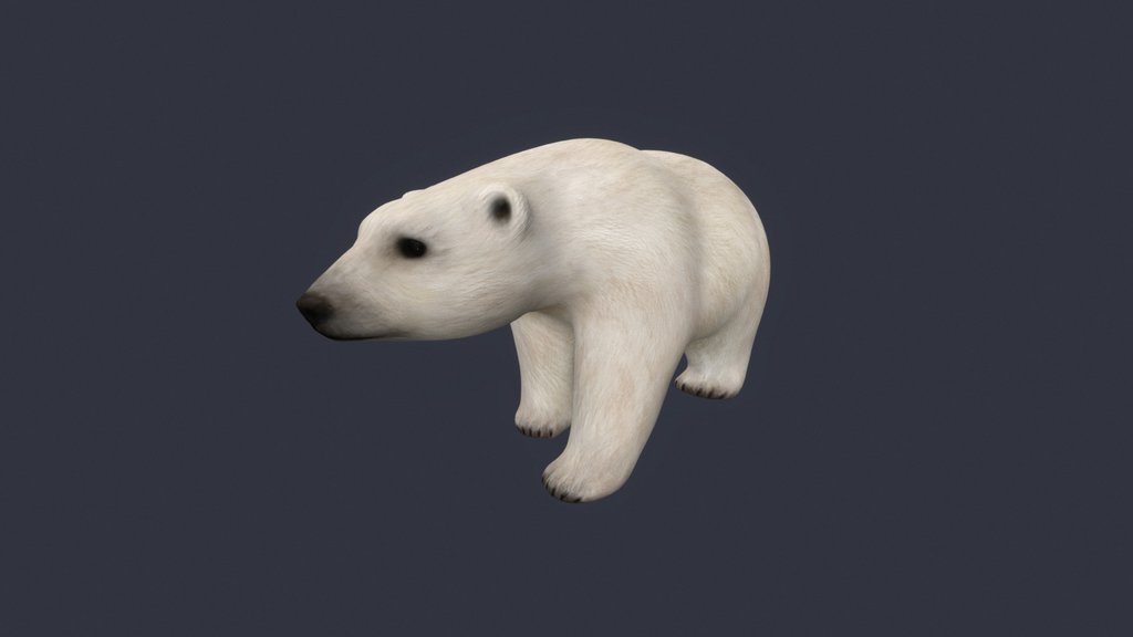 Polar Bear