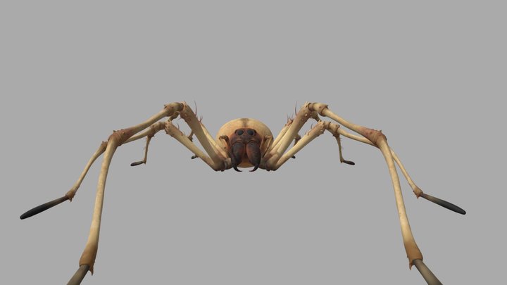 Black Myth: Wukong - Liu Mei(SpiderForm)[Static] – Modello 3D gratuito STL