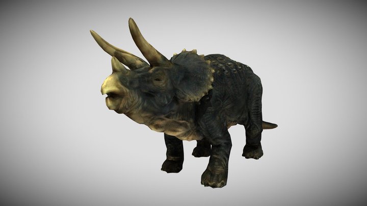 Dinosaur Scan Model 3D Model