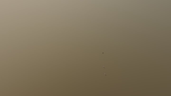 Sarawak River Pop-Up Animation 3D Model