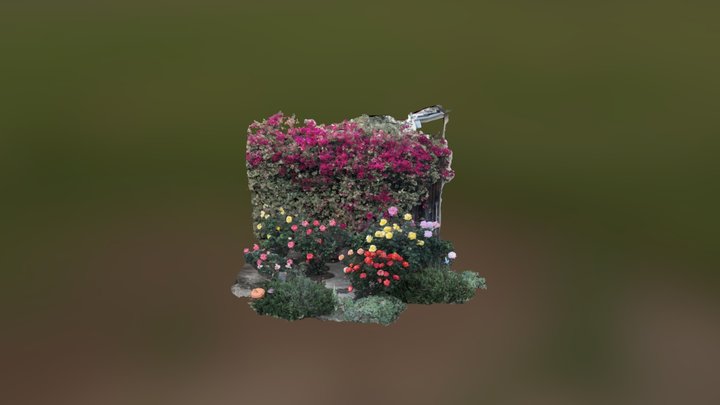 roses 3D Model