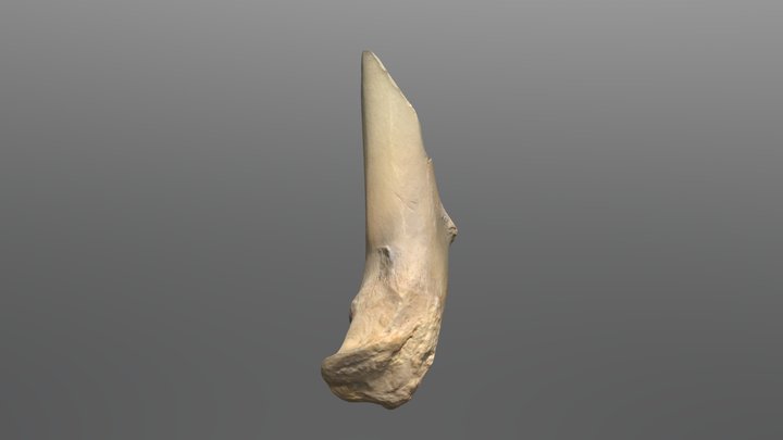 MN12AA5702_artec_20250624_1Mtri_tex2verBlender 3D Model
