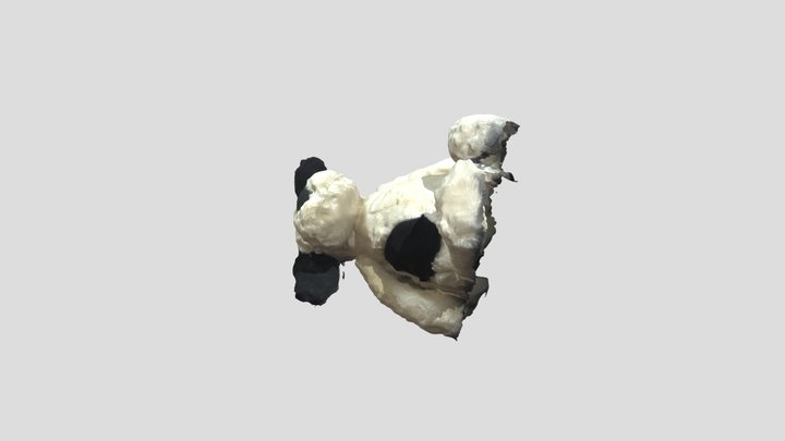 dog plush model 3D Model