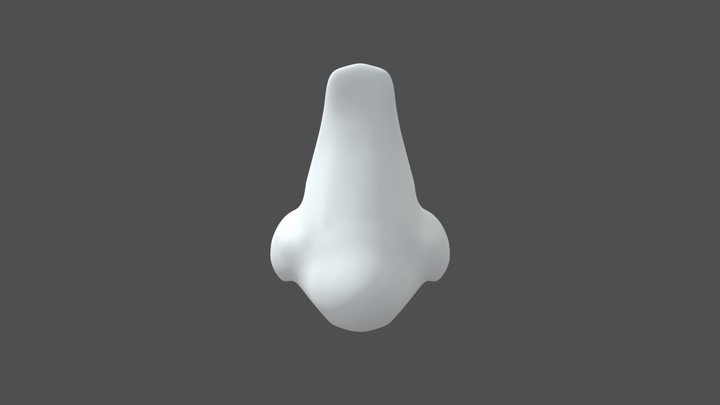 Nose Study 3D Model