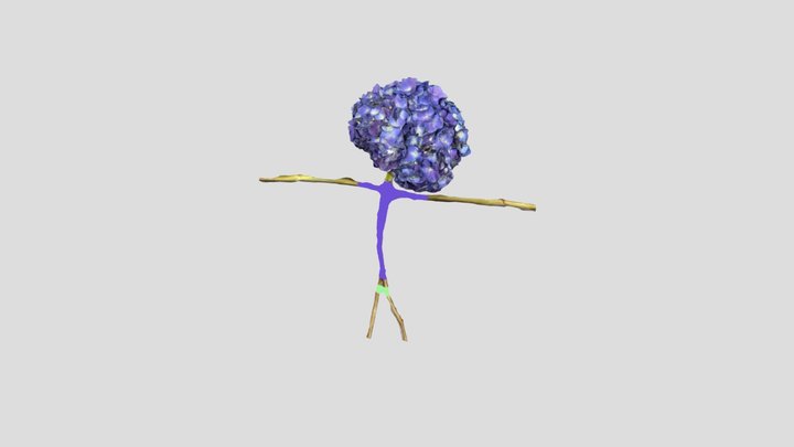 Slutty Flower 3D Model