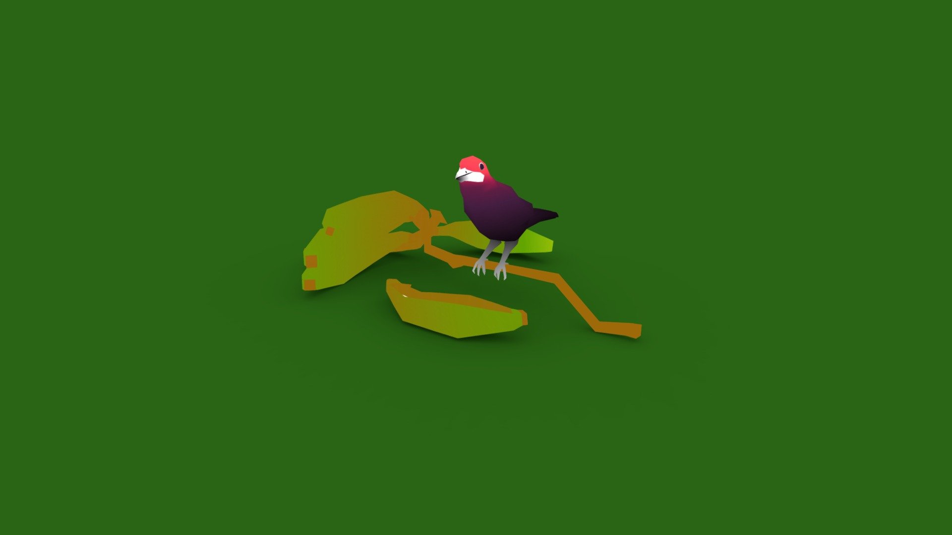 Tangara
