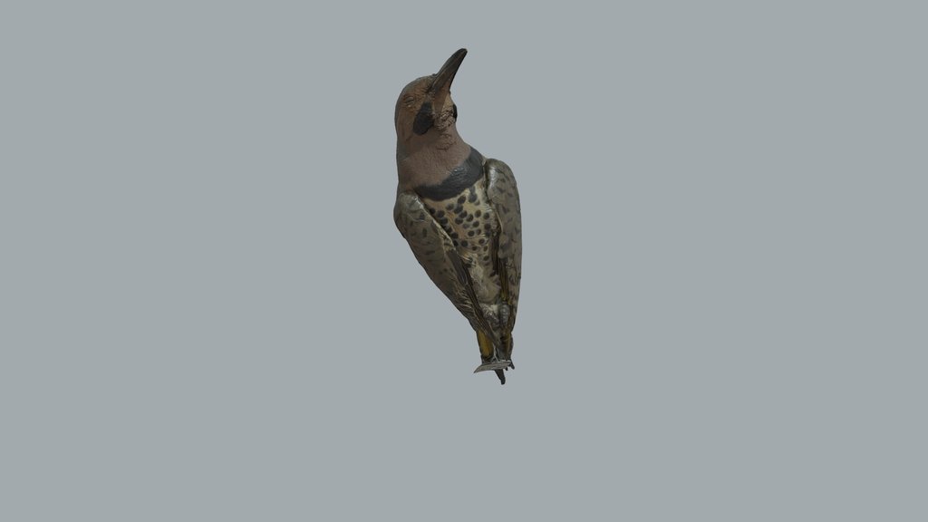 Flicker (TREC)