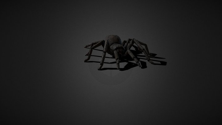 Spider Tarantula Goliath 3D Model