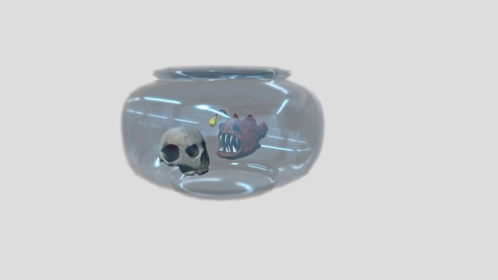 Fish, Skull, and Bowl for 3D Modeling 3D Model