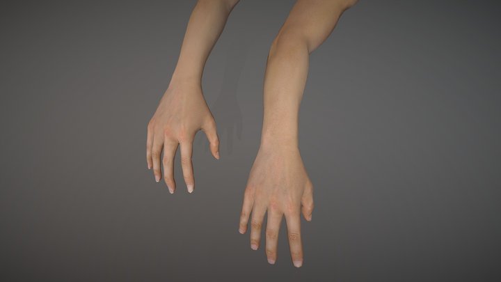 Human Hand 3D Model