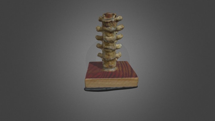 Columna 3D Model