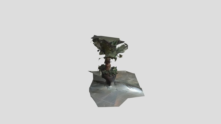 3D Model 3D Model