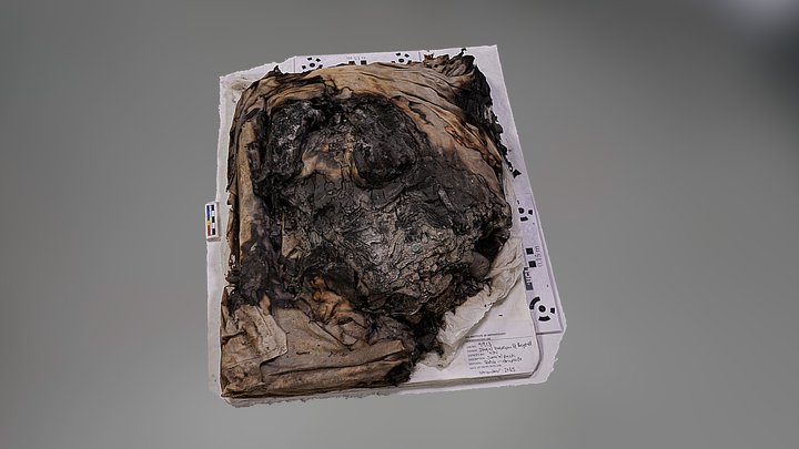 Grab-and-Run Survival Pack Remains [high-res] 3D Model