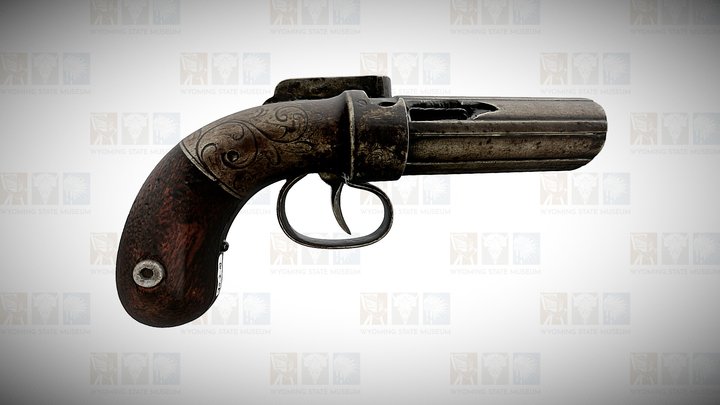 Allen Pepperbox Pistol 3D Model