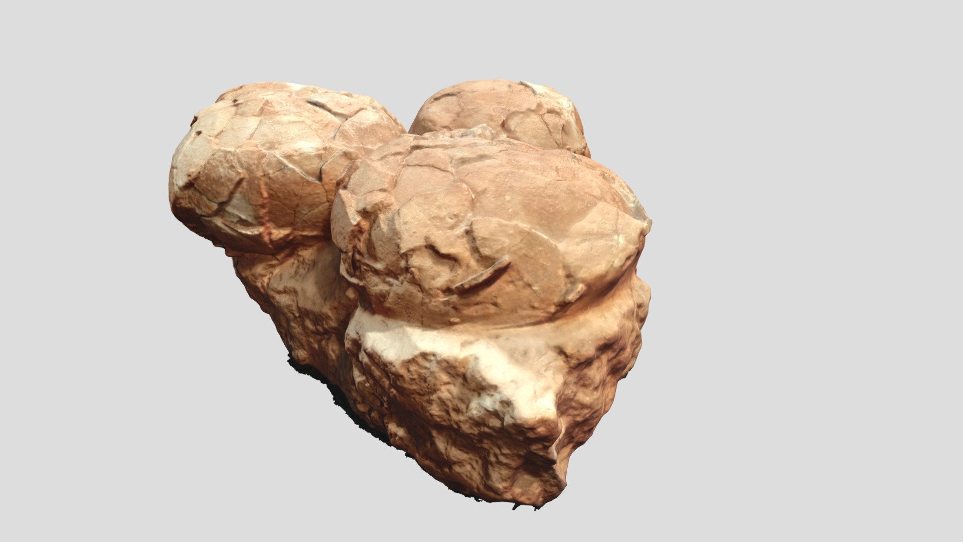 Dinosaur Eggs