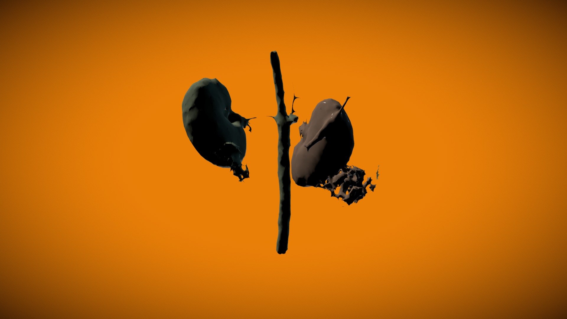 Segmentation of kidneys and aorta
