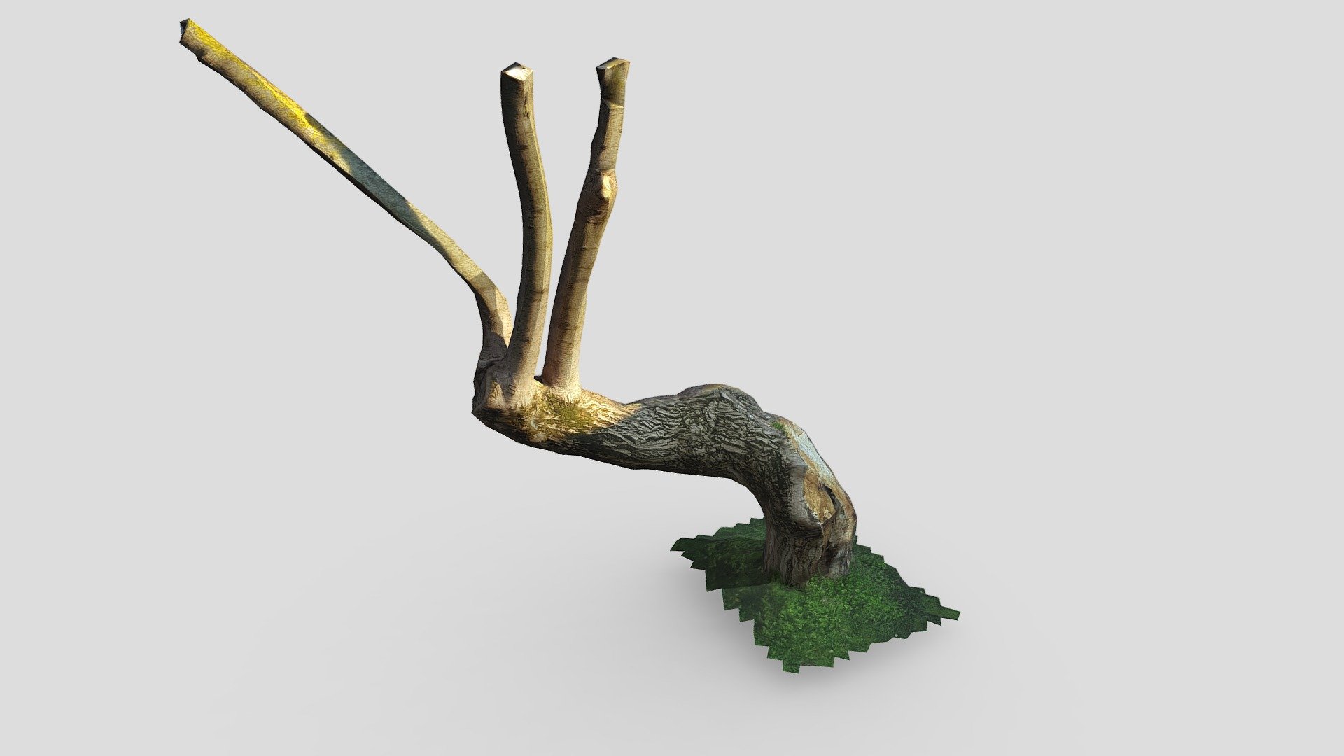 low poly tree
