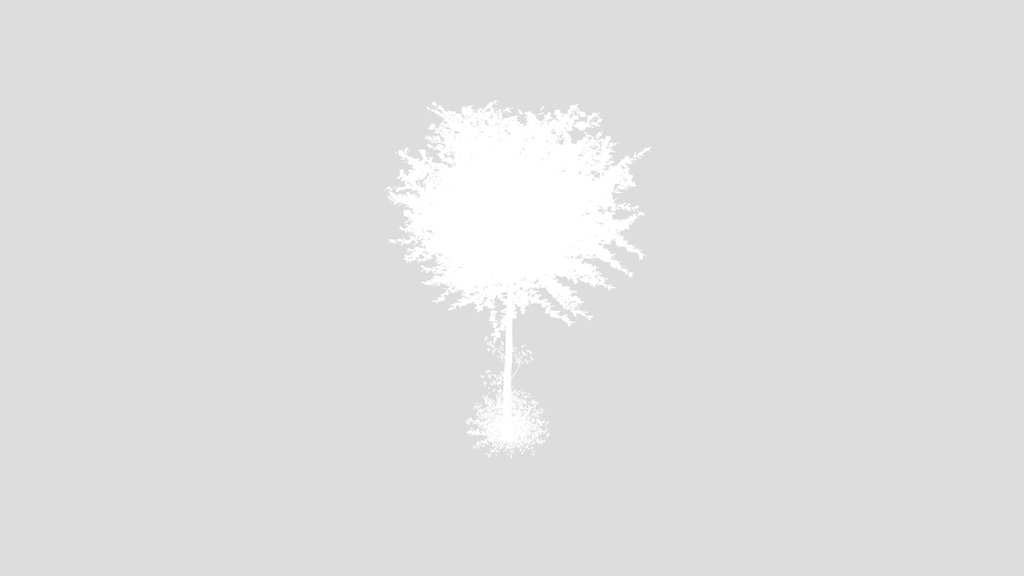 Small Mort Shrub