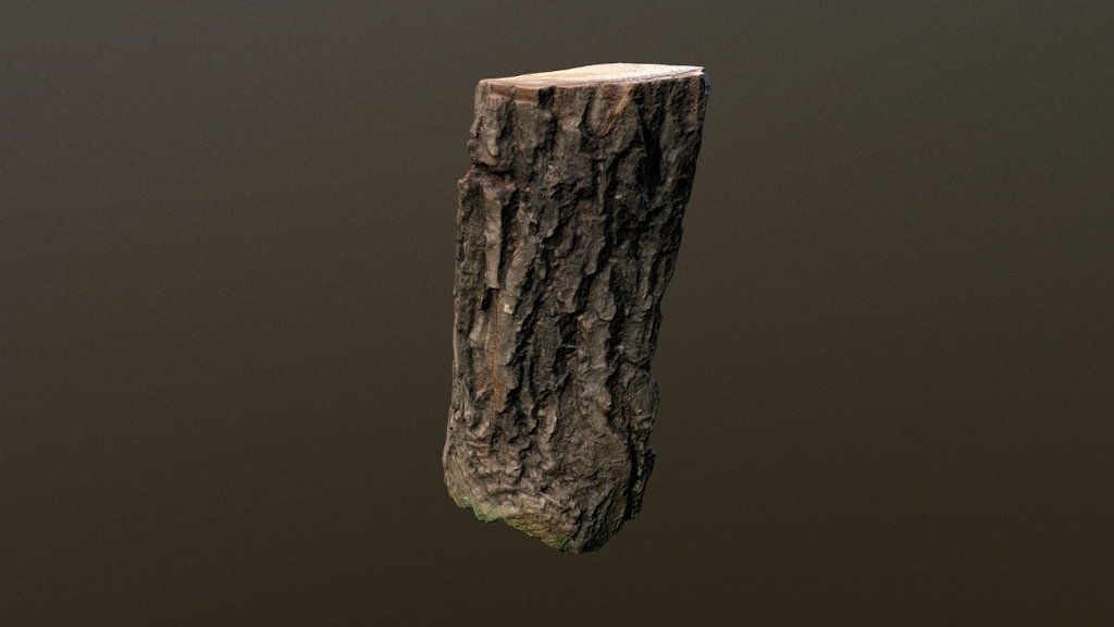 Trunk scan