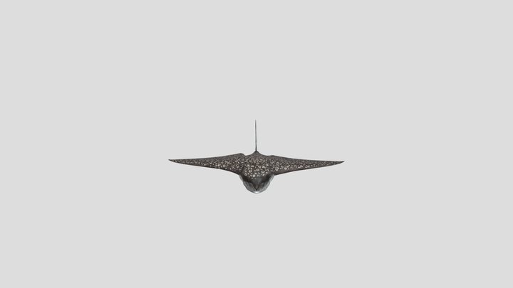 Eagle_Ray_fbx 3D Model