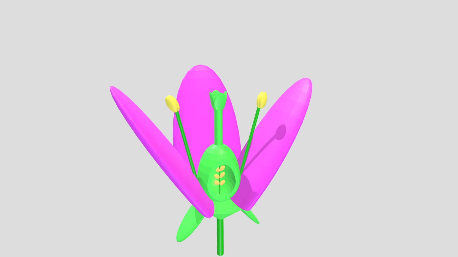 Bisected flower